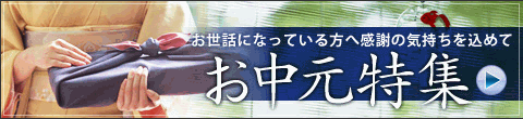 2010ǯ���渵