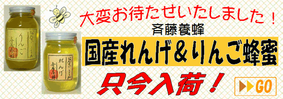 2009ǯ��ʪ˪̪���٤Τ�����