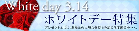 2010ǯ�ۥ磻�ȥǡ�