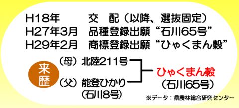 ひゃくまん穀