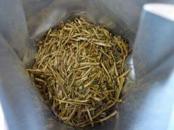 特上金沢ほうじ棒茶